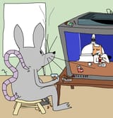 MouseHouse