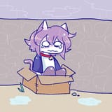 box in the rain