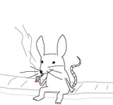 mouse