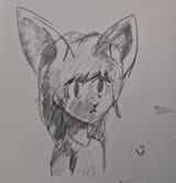 1000018176