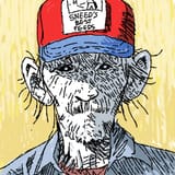 tegaki