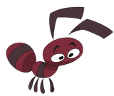 ant