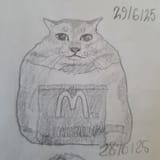 20250629_162928