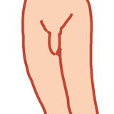 tegaki