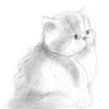tegaki