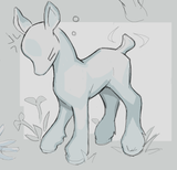 fawn