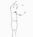 arm muscle study10001-0120_thumb.jpg