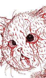 11-anim