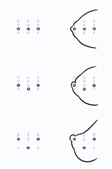 Bounce Guide