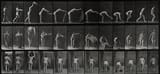 A_woman_placing_a_rug._Photogravure_after_Eadweard_Muybridge_Wellcome_V0048713