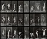 A_woman_raking_and_carrying_hay._Photogravure_after_Eadweard_Wellcome_V0048727