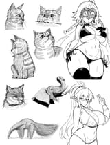 pixiv 14735673