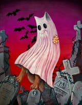 spookyboi