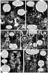IMAG002 (11)