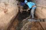 gettyimages-99303568-1024x1024