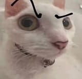 huh!
