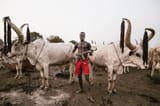mundari