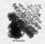 spongerr