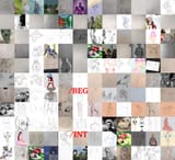 collage
