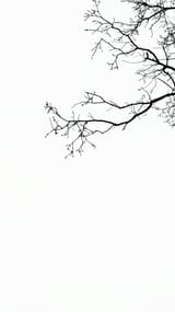nick-nice-uATVhIKPr8M-unsplash