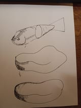 hatching