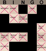 BingoBump