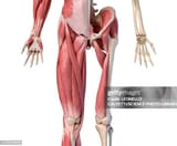 gettyimages-1178749893-612x612