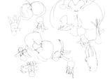 BE86BD20-3DAE-4D5D-9263-DFF1E14F22D1