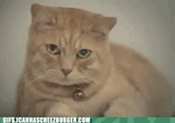 how-could-you