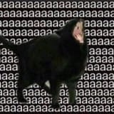 CatScream