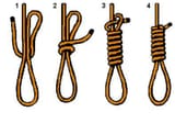 noose[1]