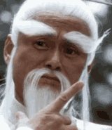 Master Wang