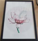 Magnolia1