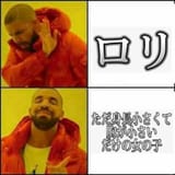 1733153256461510