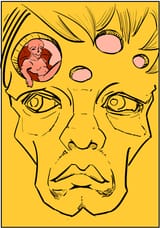 lit cover