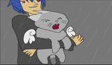 angry cat