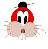 Cool Beaver