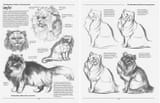 Joe Weatherly - The Weatherly Guide to Drawing Cats