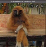 Screenshot (1426)