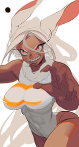 Mirko wip