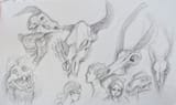 PXL_20250620_214345346~2