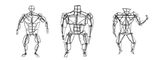 body construction with shapes