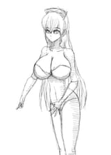 leotard