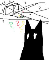 cat and box