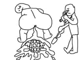 coolturtle