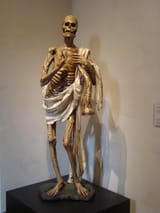 Gil_de_Ronza_la_Muerte_ni