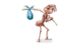 ant