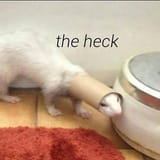 Thread 7624337 OP Image