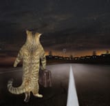 20221219_102612