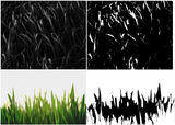 Grass1